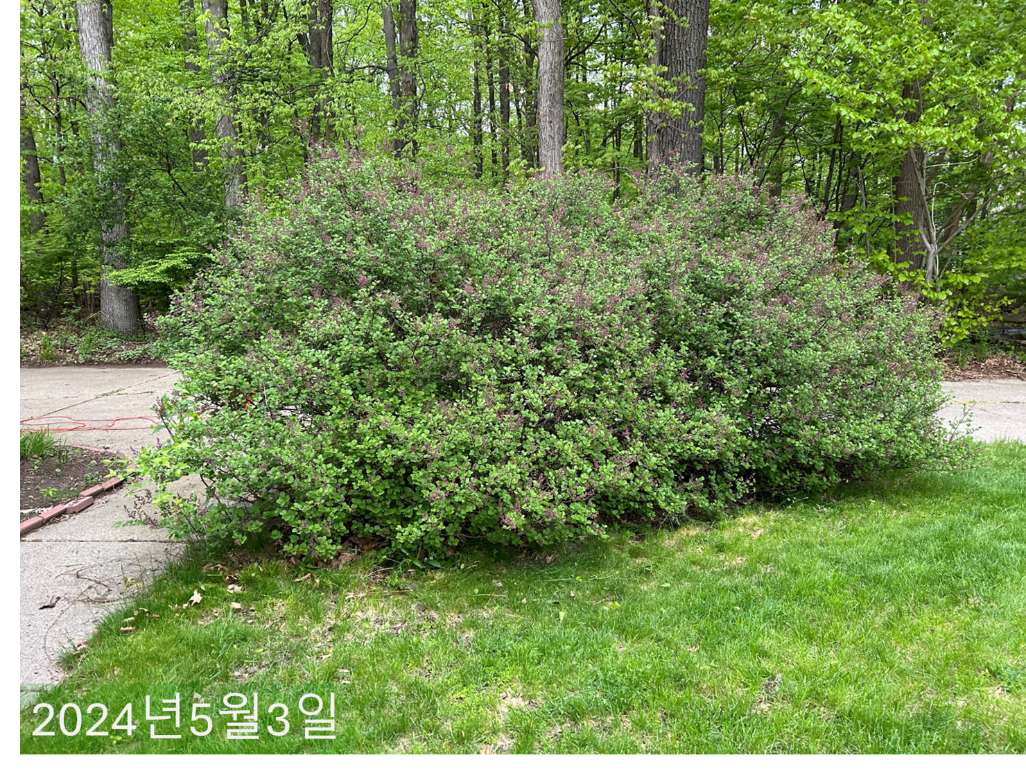 2024년5월01일 수요일 일기 바로가기